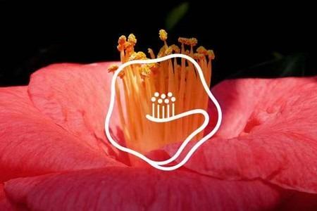 三個推廣的seo小技巧提升網站排名